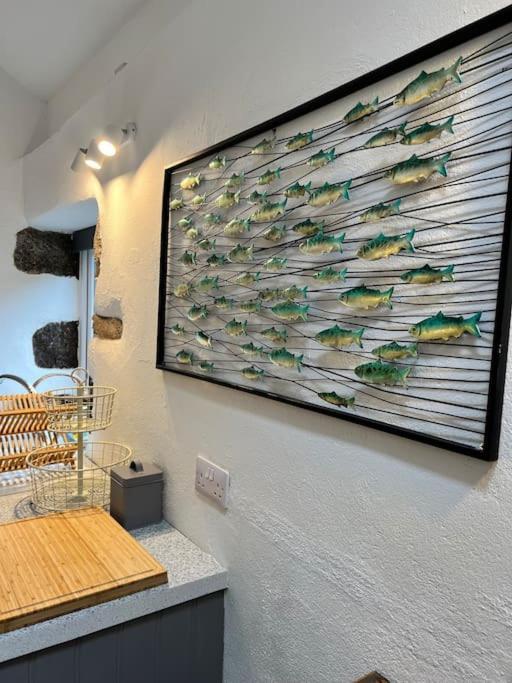 Porthtowan Little Hillsideヴィラ エクステリア 写真
